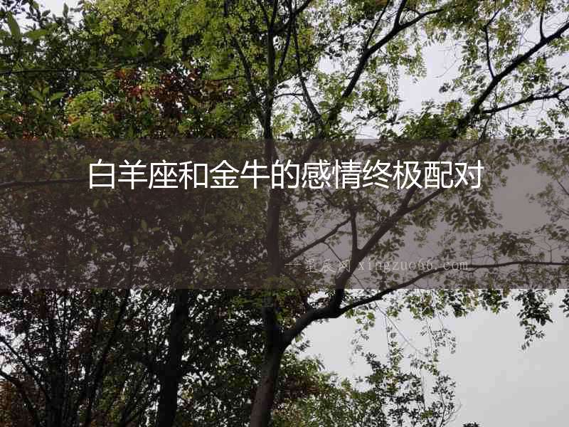白羊座和金牛的感情終極配對(duì)