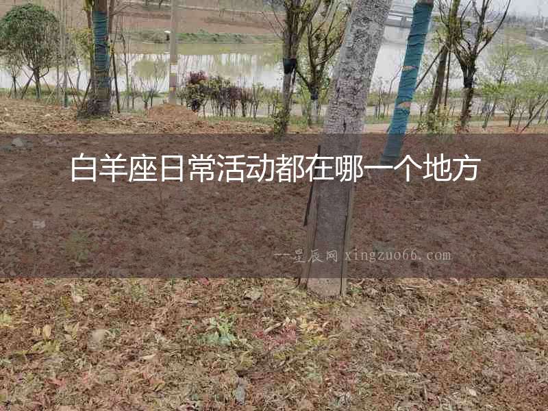 白羊座日常活動都在哪一個地方