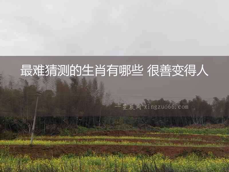 最難猜測(cè)的生肖有哪些 很善變得人