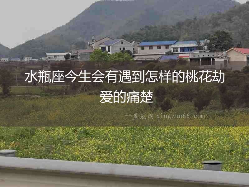 水瓶座今生會(huì)有遇到怎樣的桃花劫 愛(ài)的痛楚