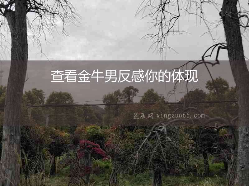 查看金牛男反感你的體現