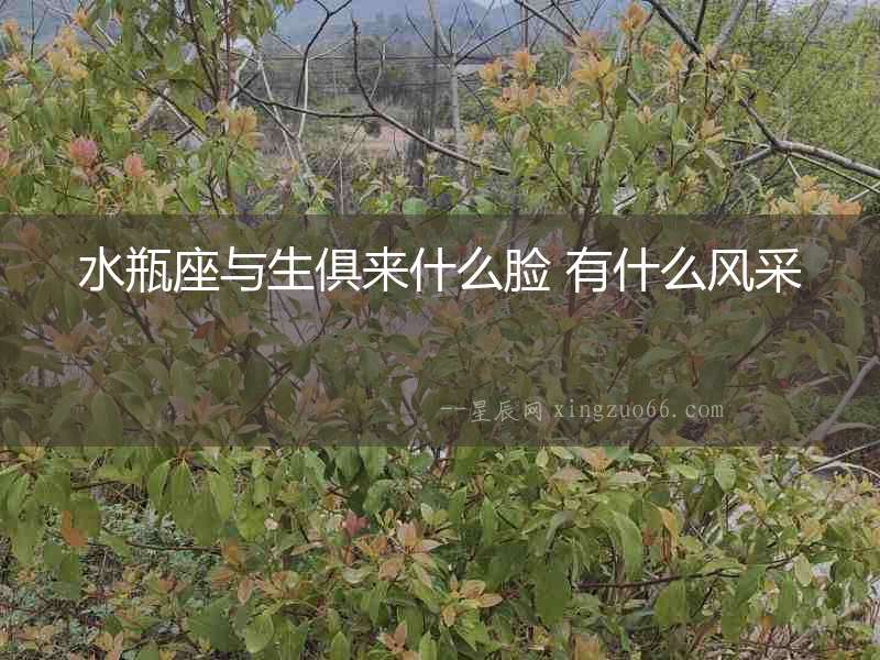水瓶座與生俱來什么臉 有什么風(fēng)采