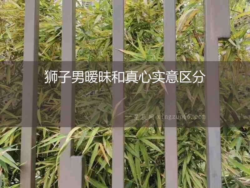獅子男曖昧和真心實(shí)意區(qū)分