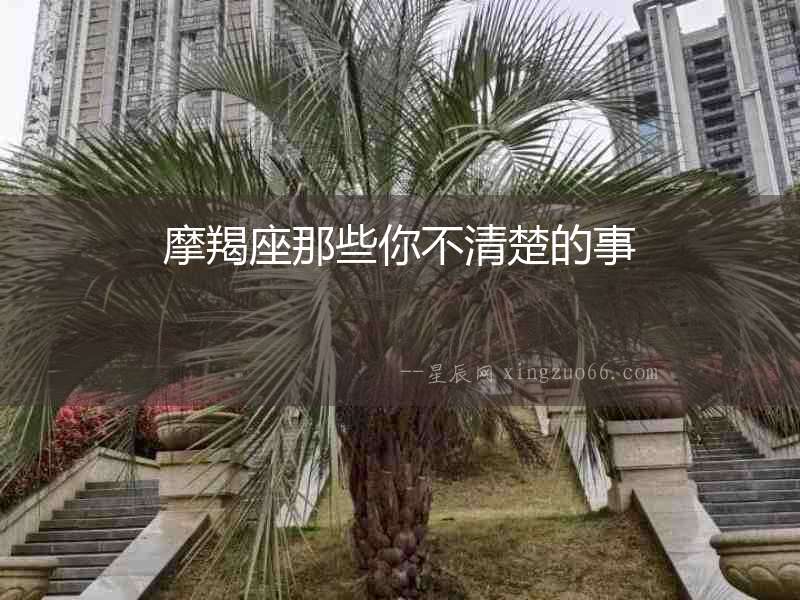 摩羯座那些你不清楚的事