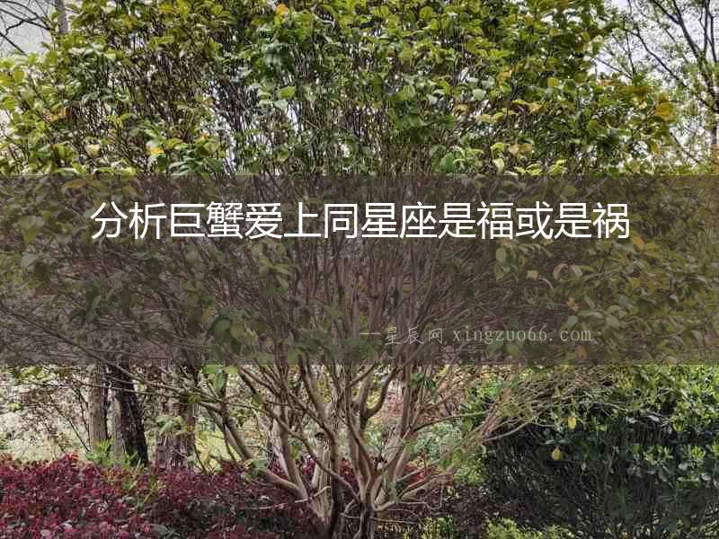 分析巨蟹愛上同星座是福或是禍