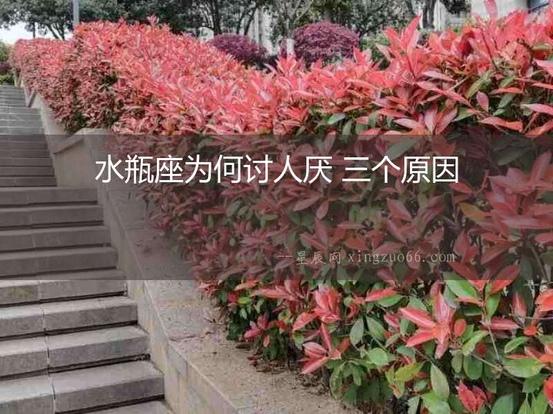 水瓶座為何討人厭 三個原因