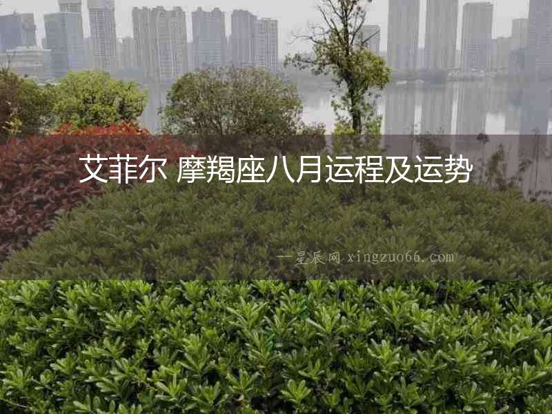 艾菲爾 摩羯座八月運程及運勢