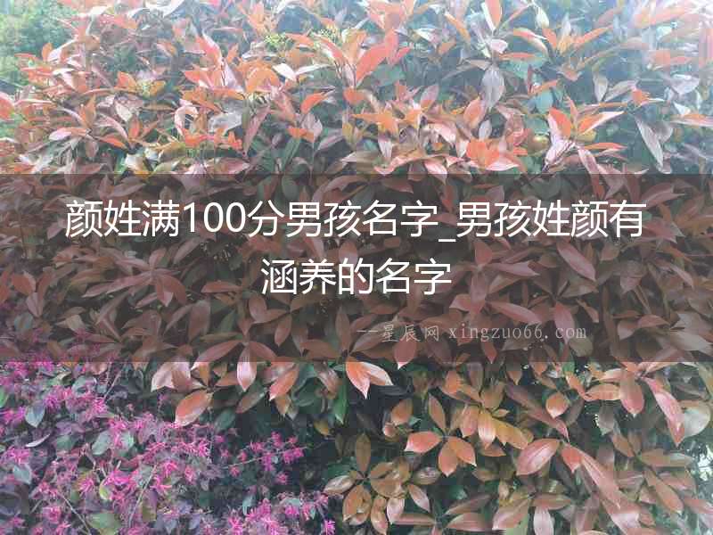 顏姓滿100分男孩名字_男孩姓顏有涵養(yǎng)的名字