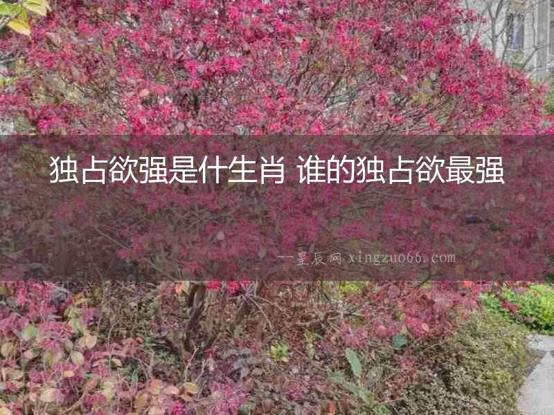 獨(dú)占欲強(qiáng)是什生肖 誰(shuí)的獨(dú)占欲最強(qiáng)