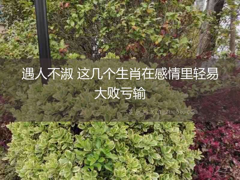 遇人不淑 這幾個(gè)生肖在感情里輕易大敗虧輸