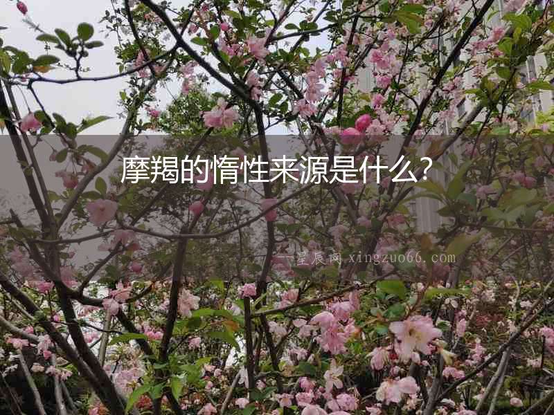 摩羯的惰性來源是什么？