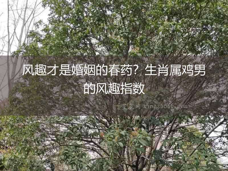 風趣才是婚姻的春藥？生肖屬雞男的風趣指數