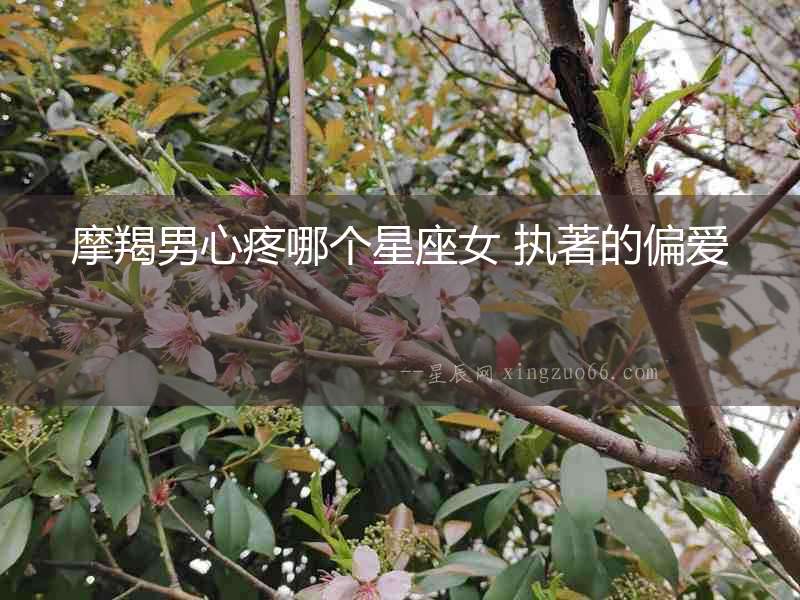 摩羯男心疼哪個星座女 執(zhí)著的偏愛