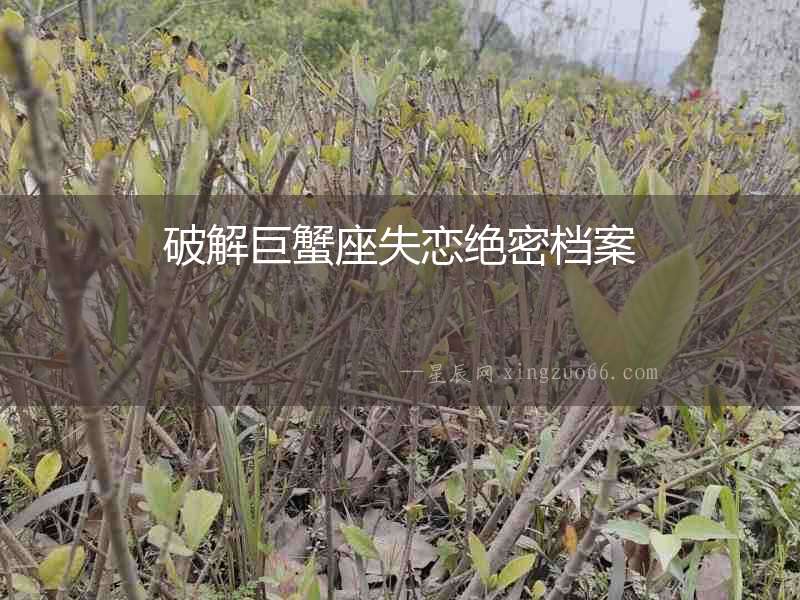 破解巨蟹座失戀絕密檔案