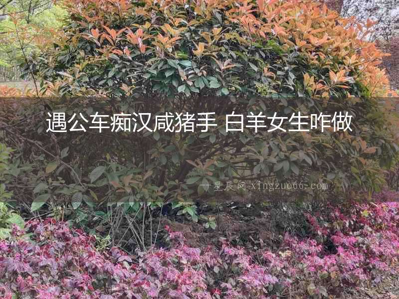遇公車癡漢咸豬手 白羊女生咋做