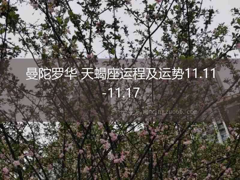 曼陀羅華 天蝎座運程及運勢11.11-11.17