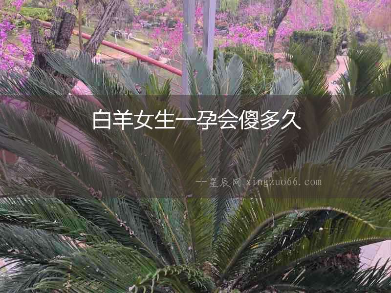 白羊女生一孕會傻多久