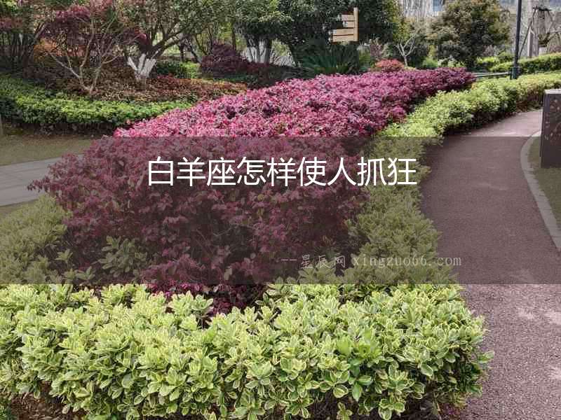 白羊座怎樣使人抓狂