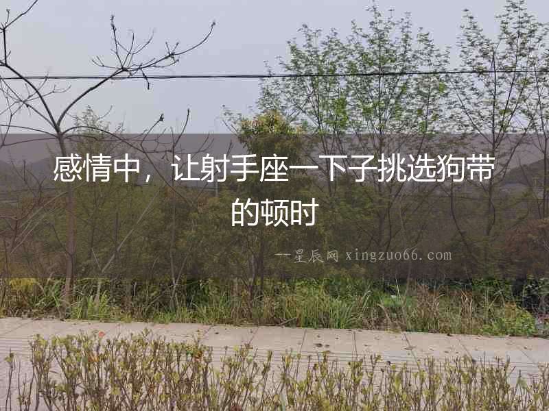 感情中，讓射手座一下子挑選狗帶的頓時