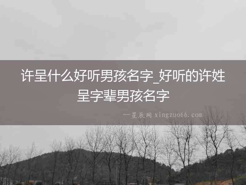 許呈什么好聽(tīng)男孩名字_好聽(tīng)的許姓呈字輩男孩名字