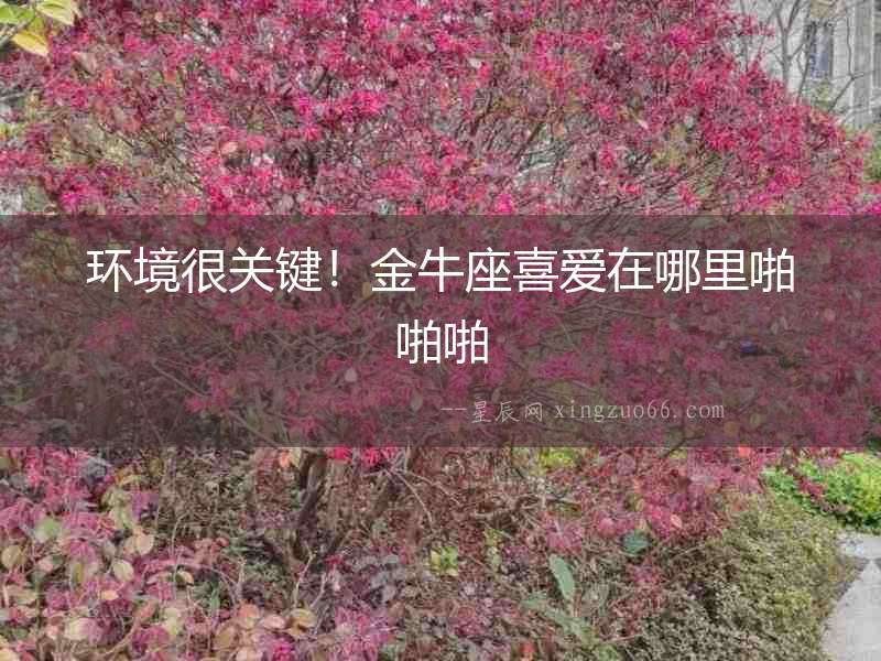 環(huán)境很關(guān)鍵！金牛座喜愛在哪里啪啪啪