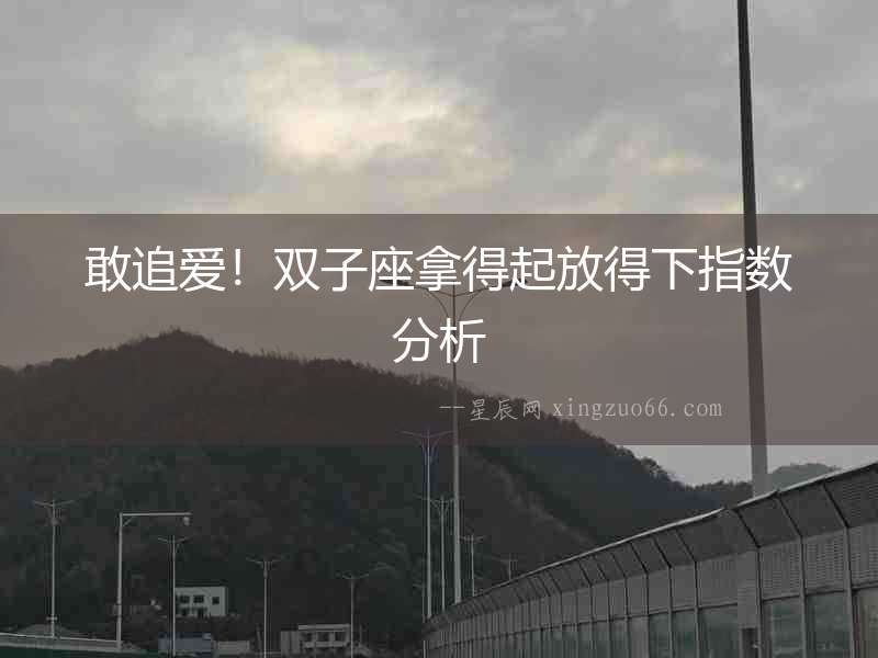 敢追愛(ài)！雙子座拿得起放得下指數(shù)分析