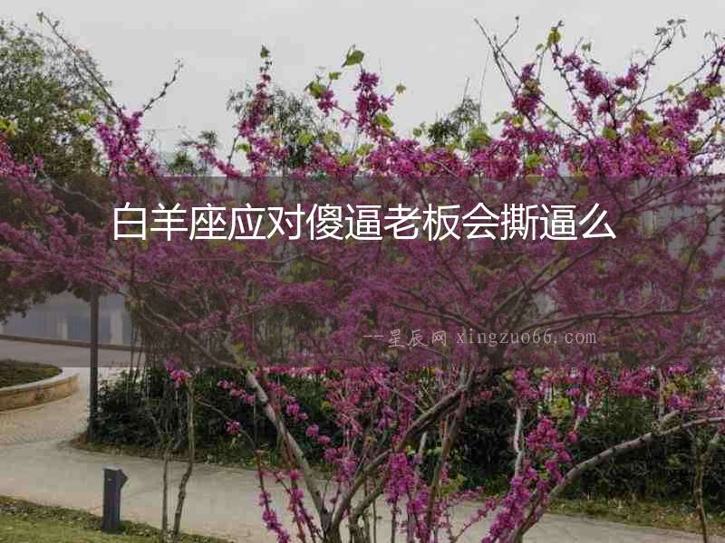 白羊座應對傻逼老板會撕逼么
