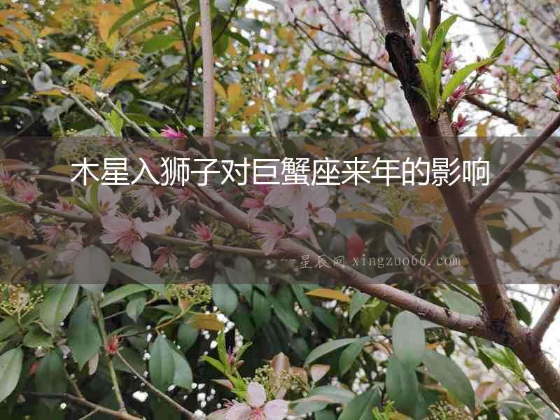 木星入獅子對巨蟹座來年的影響