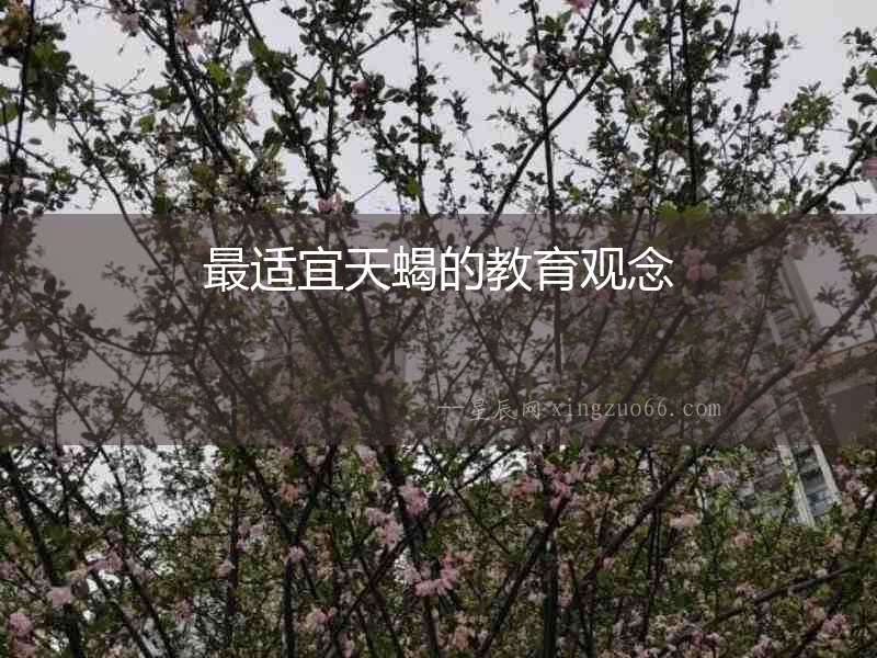 最適宜天蝎的教育觀念