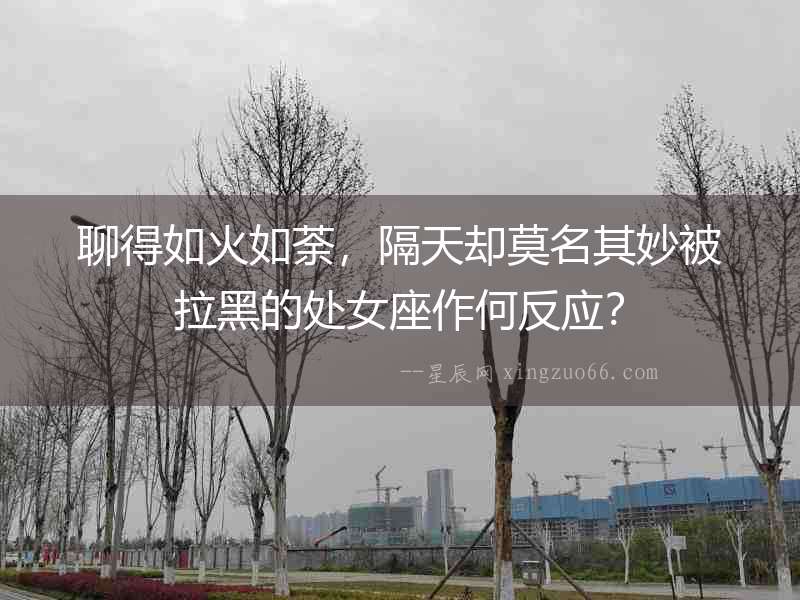聊得如火如荼，隔天卻莫名其妙被拉黑的處女座作何反應？