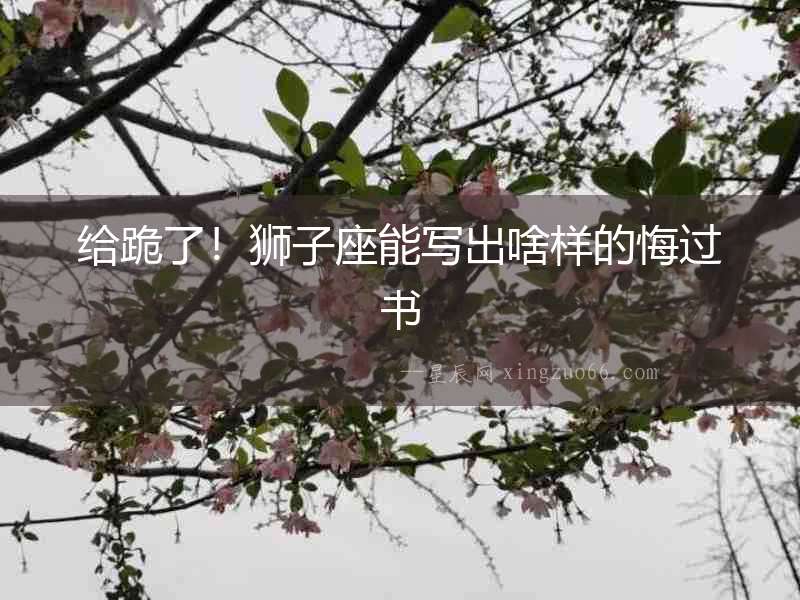給跪了！獅子座能寫出啥樣的悔過書