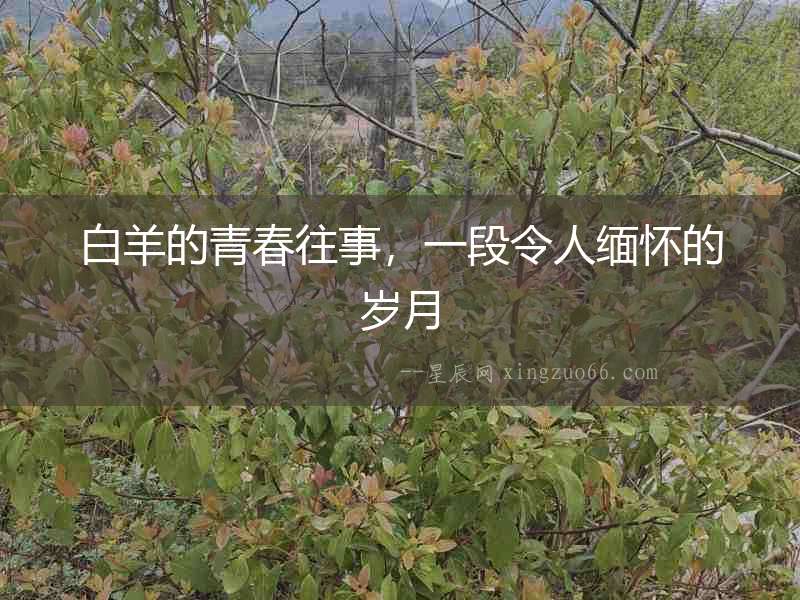 白羊的青春往事，一段令人緬懷的歲月