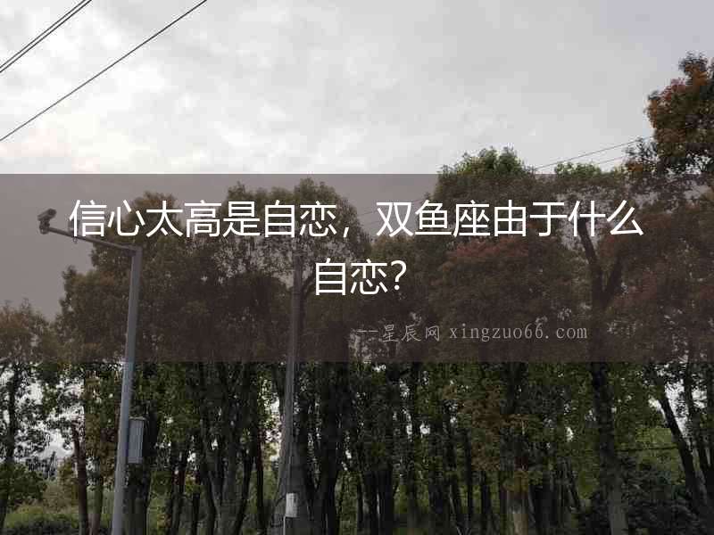 信心太高是自戀，雙魚座由于什么自戀？