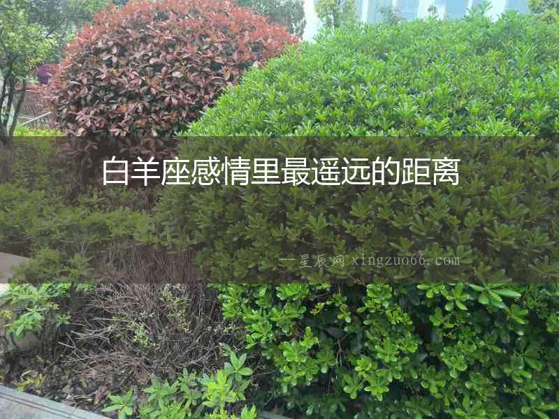 白羊座感情里最遙遠(yuǎn)的距離