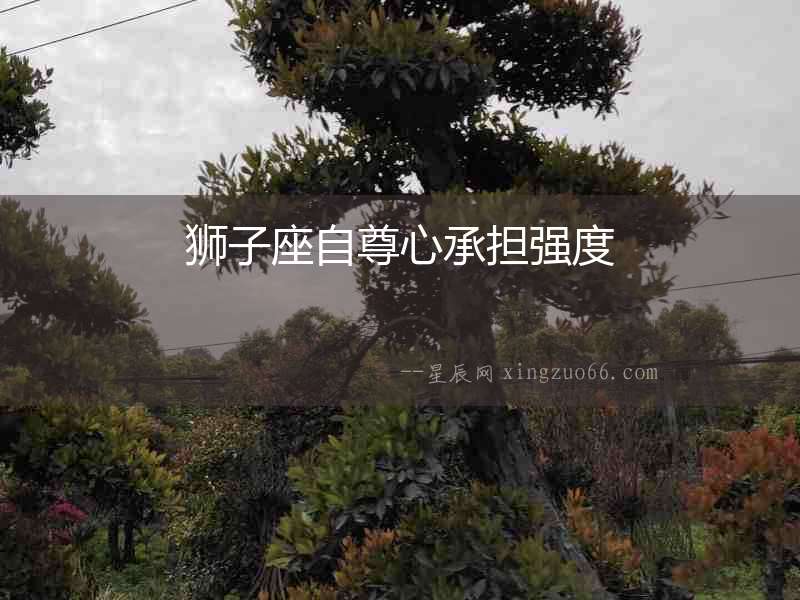 獅子座自尊心承擔強度