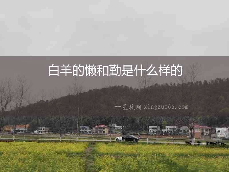 白羊的懶和勤是什么樣的