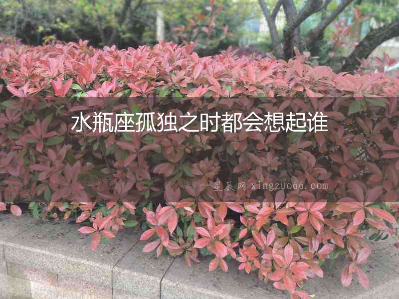 水瓶座孤獨之時都會想起誰