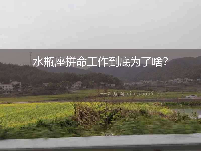 水瓶座拼命工作到底為了啥？