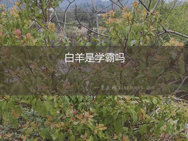 白羊是學(xué)霸嗎
