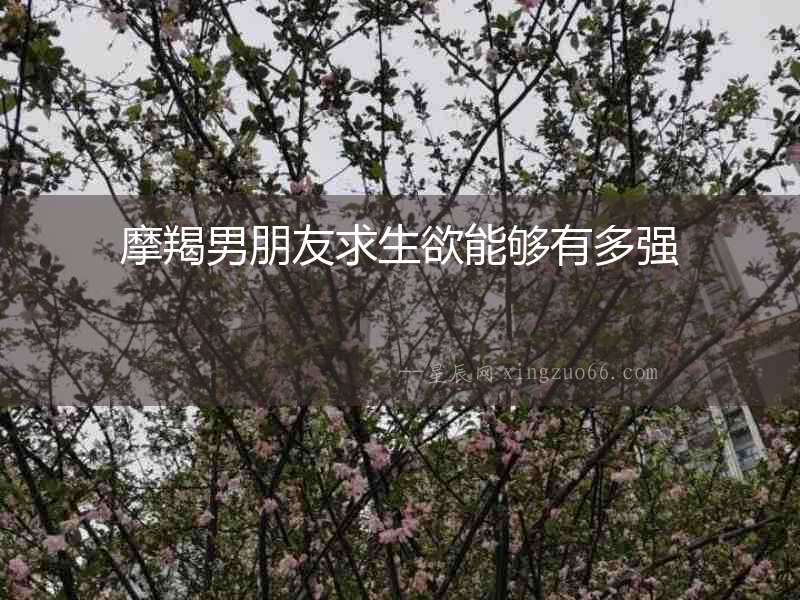 摩羯男朋友求生欲能夠有多強(qiáng)