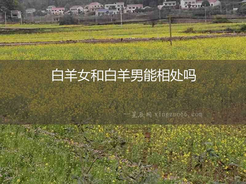 白羊女和白羊男能相處嗎