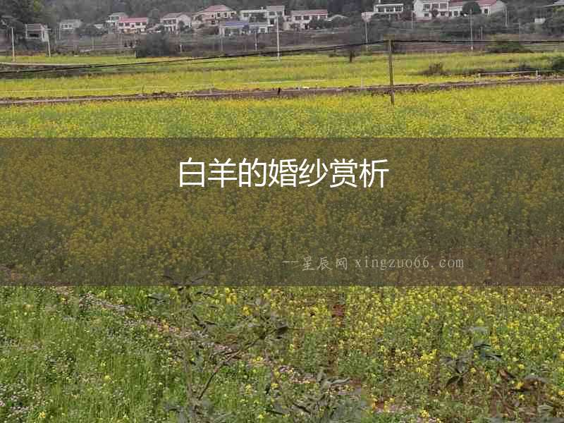 白羊的婚紗賞析
