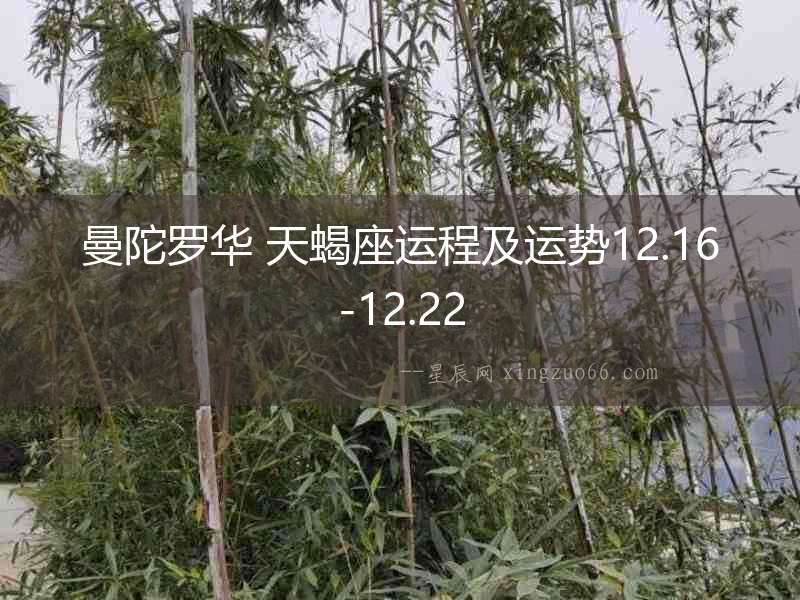 曼陀羅華 天蝎座運(yùn)程及運(yùn)勢12.16-12.22