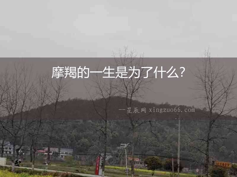 摩羯的一生是為了什么？