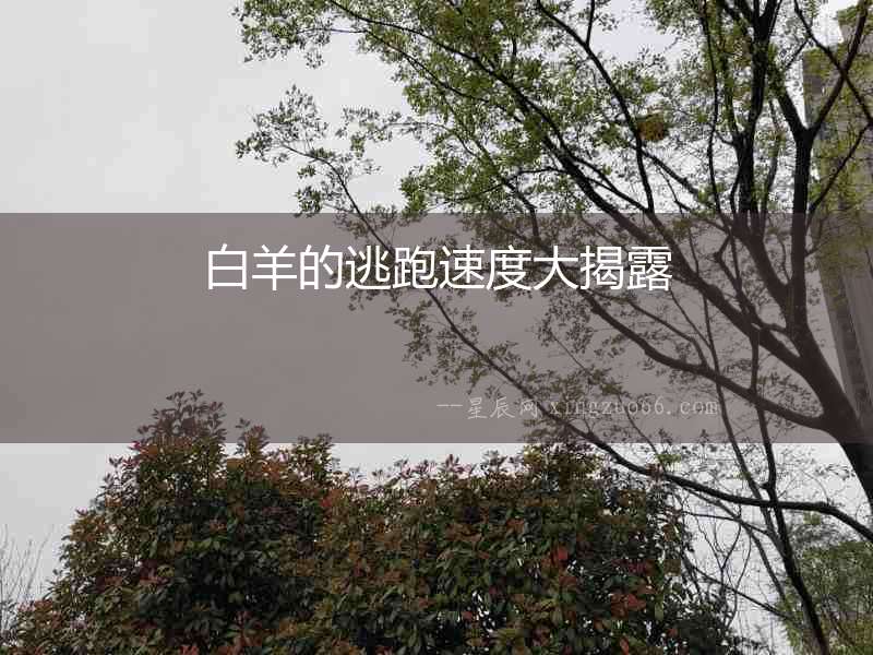 白羊的逃跑速度大揭露