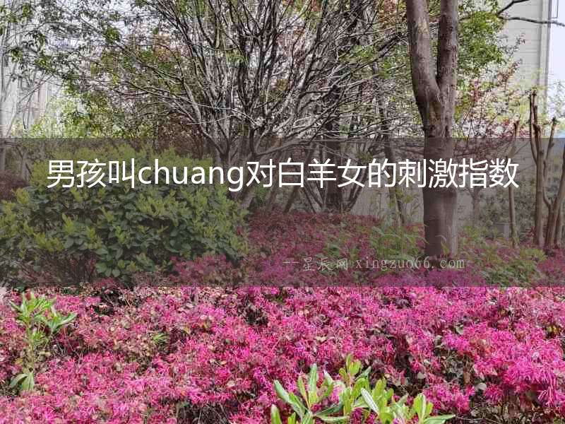 男孩叫chuang對(duì)白羊女的刺激指數(shù)