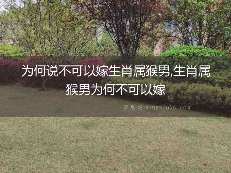 為何說(shuō)不可以嫁生肖屬猴男,生肖屬猴男為何不可以嫁
