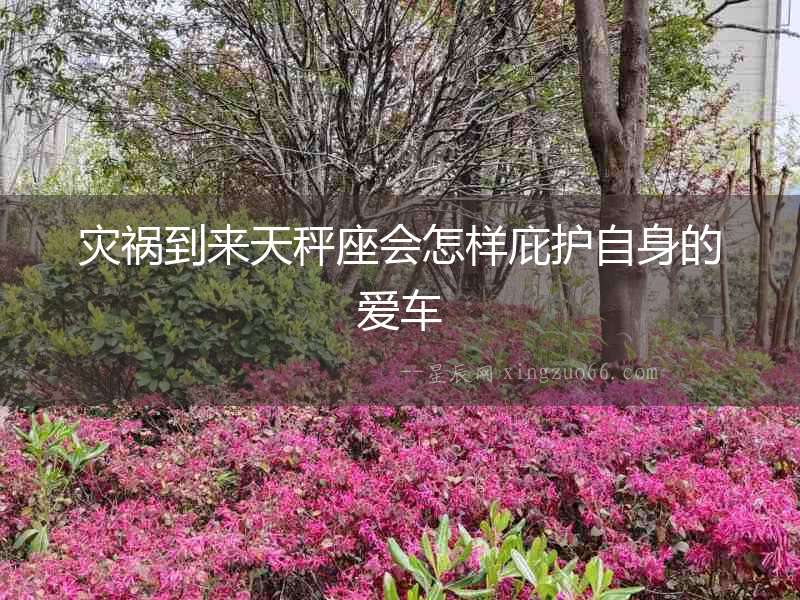 災(zāi)禍到來(lái)天秤座會(huì)怎樣庇護(hù)自身的愛(ài)車
