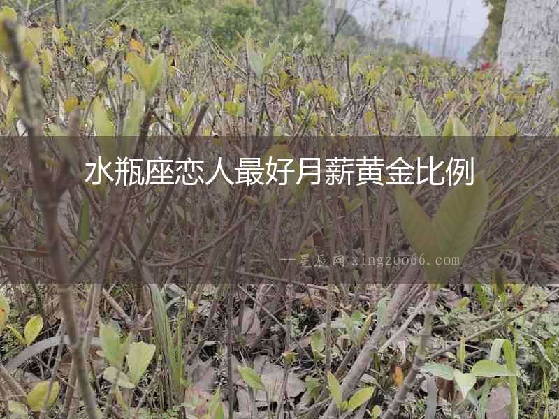水瓶座戀人最好月薪黃金比例