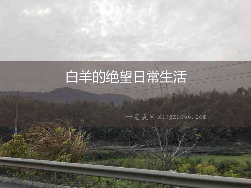 白羊的絕望日常生活